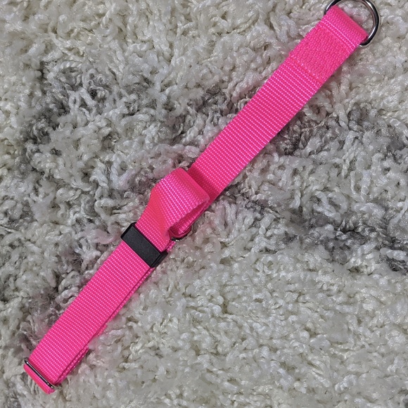 Two harnesses and one collar for puppies - Picture 4 of 4